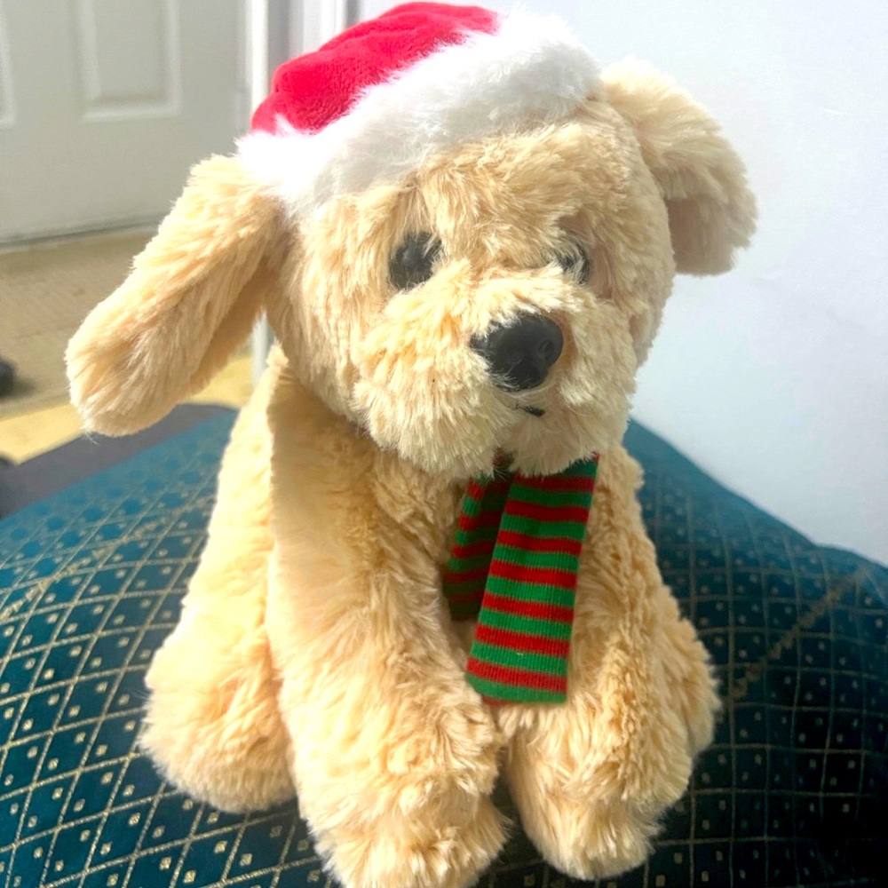 Brand new!! Santa clause plushie !! 12 inches tall !!